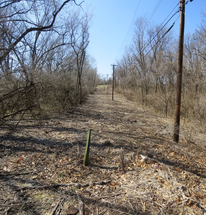 View from tour stop looking west down Historic Byram’s Ford Road