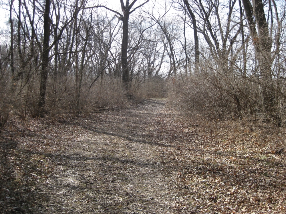 Byram’s Ford Road walking down to the west bank of the Big Blue River