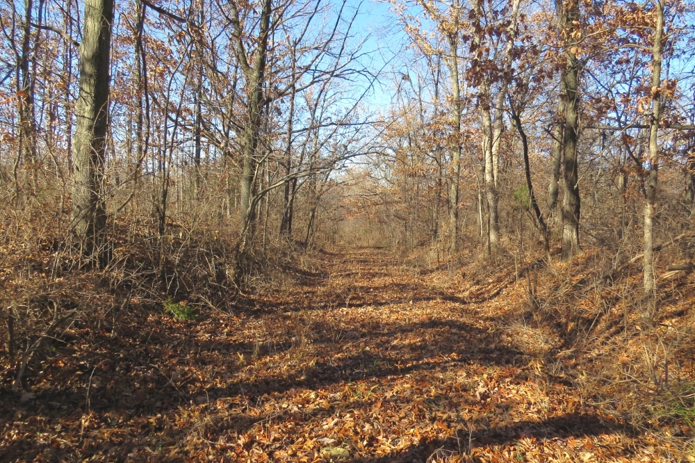 View looking west down Historic Byram’s Ford Road