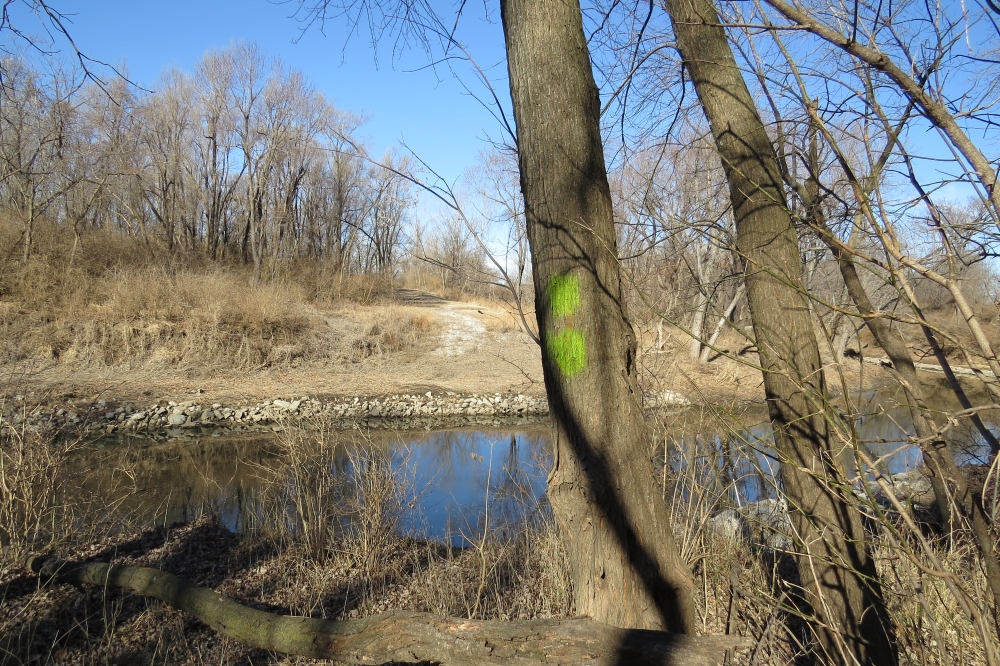 East bank of Big Blue River where Dee's Battalion crossed