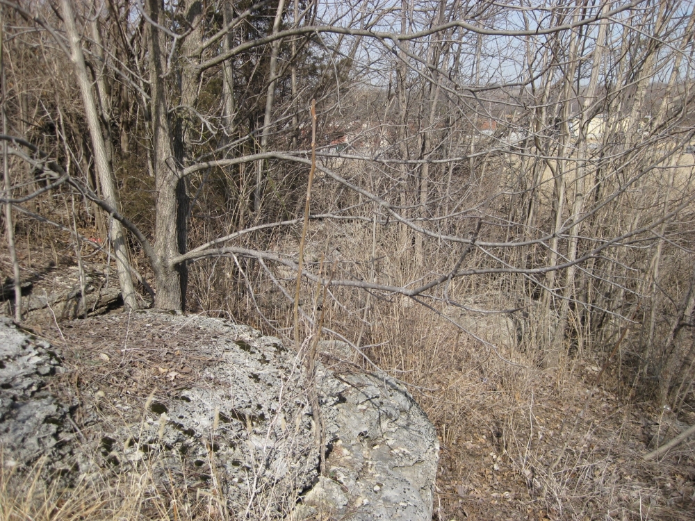 Close up of rock ledge near tour stop