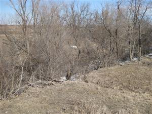 View of Spring Creek Near the Site of the Battle of the Spurs