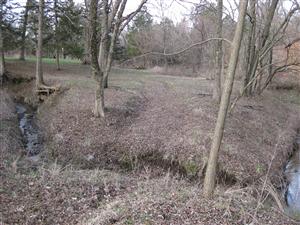 Wagon Ruts crossing Captains Creek at Black Jack Battlefield