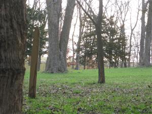 Black Jack Battlefield Self-Guided Tour - Looking from Brown's Position Towards Pate's Position