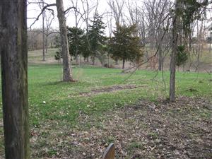 Black Jack Battlefield Self-Guided Tour - Looking from Frederick Brown's Position Towards Pate's Position