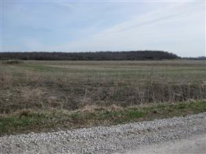 Looking North From Douglas Terrace Towards the Site of the Pottawatomie Massacre