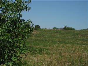 Looking north towards 'Camp Bacon' from Rocheport Road near the 'Camp Bacon' tour stop