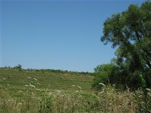 Looking north towards 'Camp Bacon' from Rocheport Road near the 'Camp Bacon' tour stop