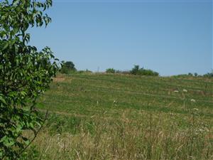 Looking north towards 'Camp Bacon' from Rocheport Road near the 'Camp Bacon' tour stop