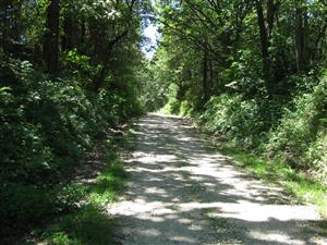 Looking west up Rocheport Road from the 'Federal Disembarkment' tour stop