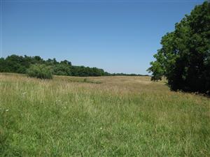 Looking north across Boonville battlefield from the 'Federal Line of Battle' tour stop