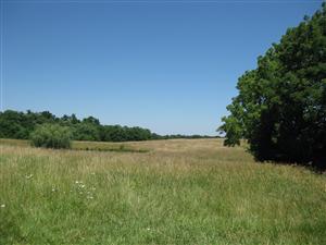 Looking north across Boonville battlefield from the 'Federal Line of Battle' tour stop