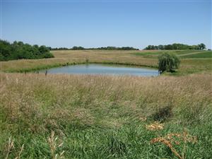 Looking north across Boonville battlefield from the 'Federal Line of Battle' tour stop