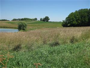 Looking north across Boonville battlefield from the 'Federal Line of Battle' tour stop