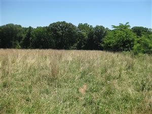 Looking east across Boonville battlefield from the 'Marmaduke Defensive Line' tour stop