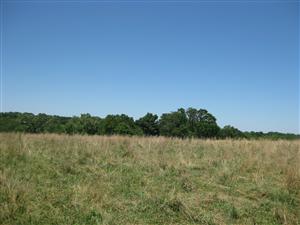 Looking east across Boonville battlefield from the 'Marmaduke Defensive Line' tour stop