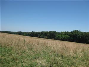 Looking northeast across Boonville battlefield from the 'Marmaduke Defensive Line' tour stop