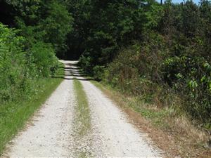 From the Missouri State Guard perspective looking east down Rocheport Road toward the advancing Federals