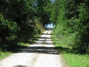 From the Federals perspective looking west up Rocheport Road toward the 'Missouri State Guard Pickets' tour stop