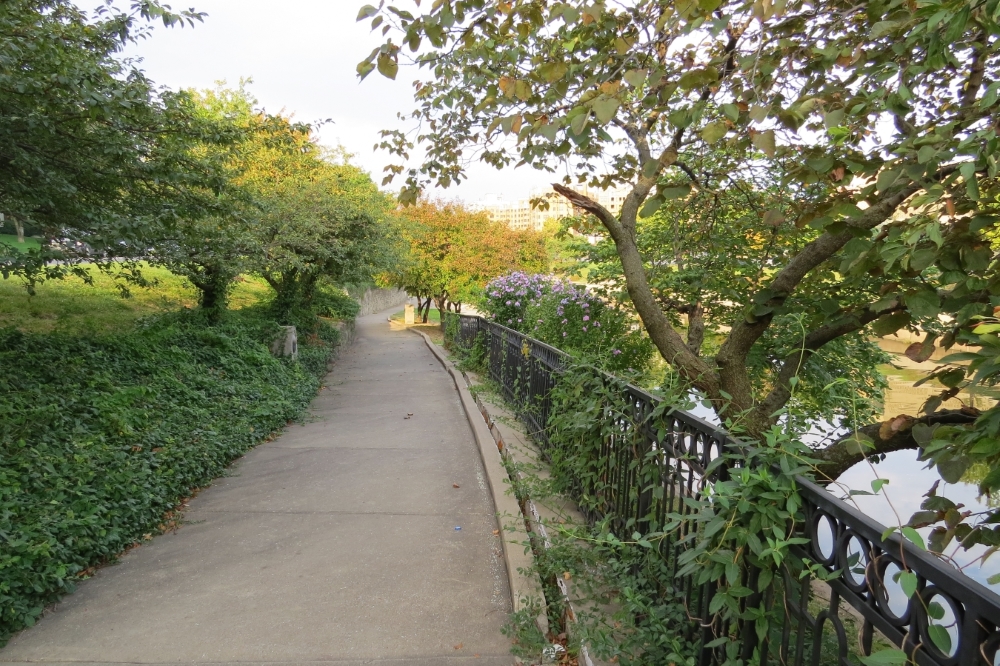 View looking west along south side of Brush Creek