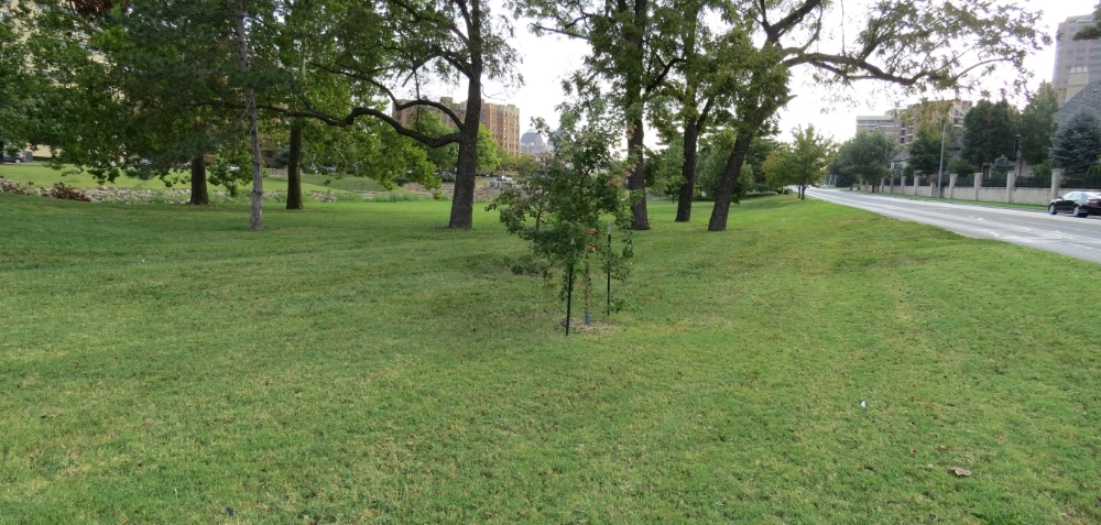 View from tour stop looking east along south side of Brush Creek