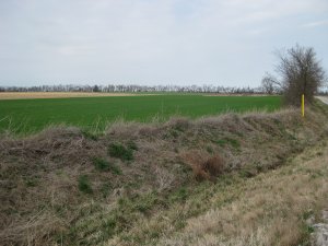 Battle of Carthage Tour Stop 2 Facing Northwest from Sigel Position