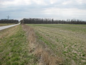 Battle of Carthage Tour Stop 3 Looking North Towards Missouri State Guard