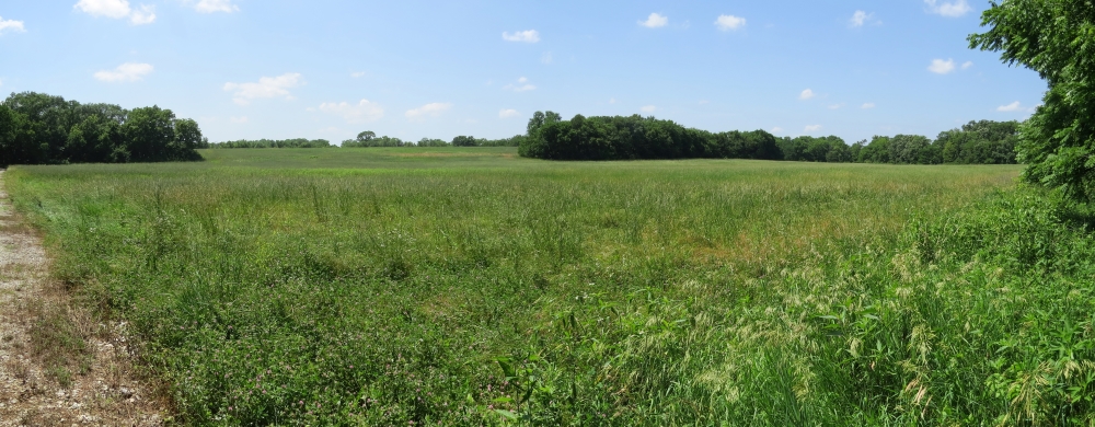 Looking northwest from just west of Captain’s Creek