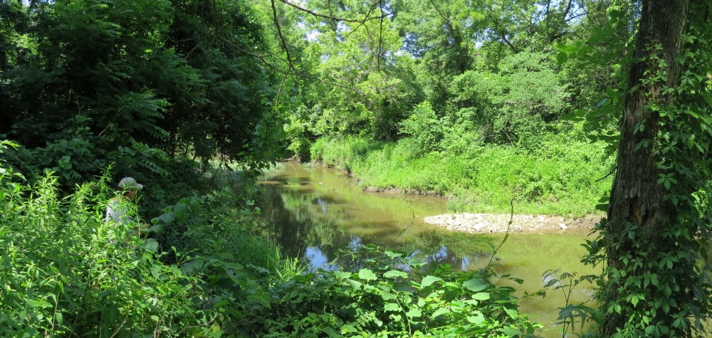 Captain’s Creek a bit upstream from where Quantrill crossed