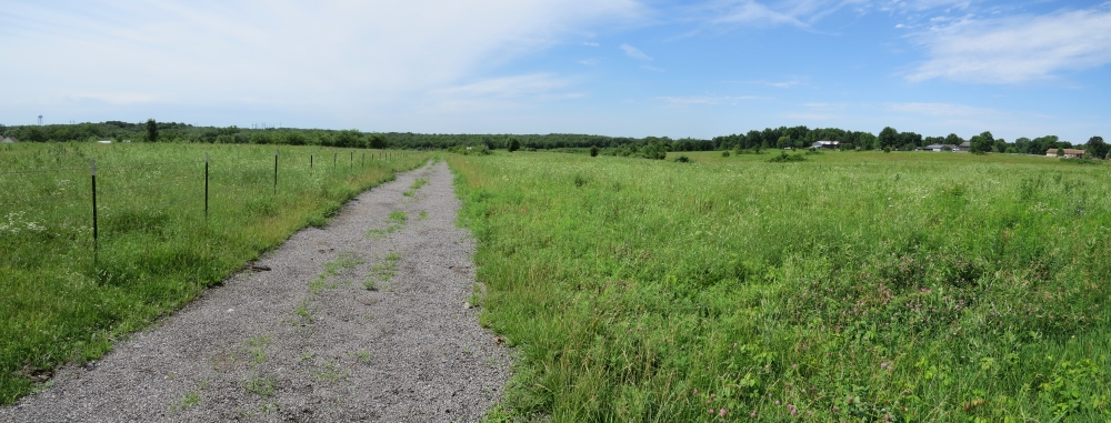 Looking south from Harrelson Farm tour stop landscape