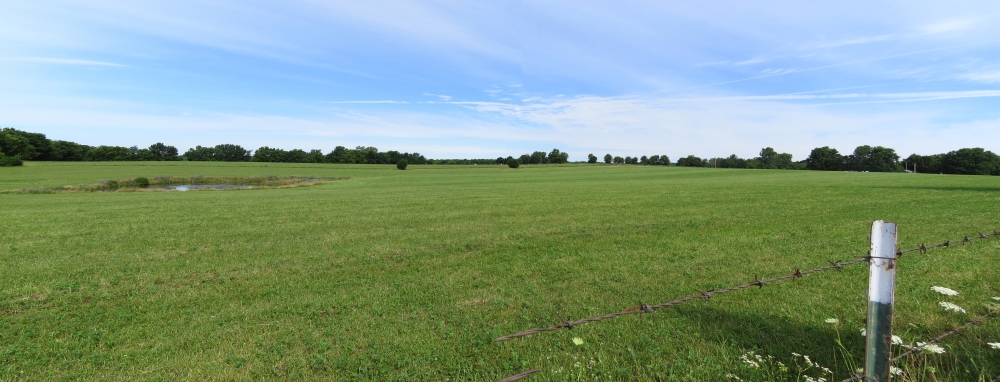 Looking west toward the Potter Farm