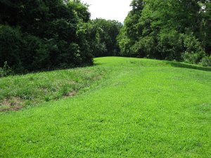 Scene of Hand-to-Hand Combat Looking West From Within Entrenchments