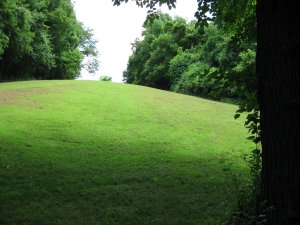 Scene of Hand-to-Hand Combat Looking East From MSG Position 1