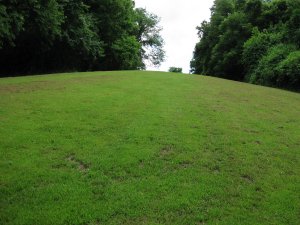 Scene of Hand-to-Hand Combat Looking East From MSG Position 2