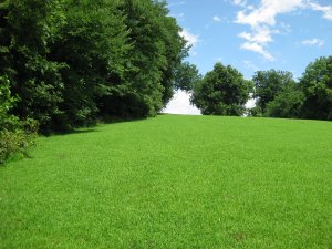 Site of Hemp Bales Looking Uphill (East) Toward Entrenchments 1