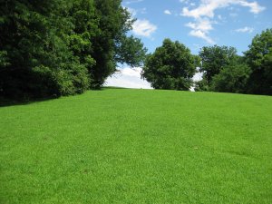 Site of Hemp Bales Looking Uphill (East) Toward Entrenchments 2