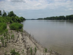 Missouri River, Lexington, Missouri