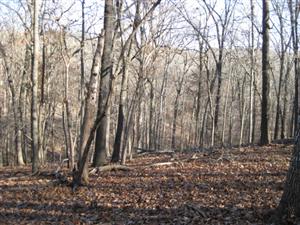 1st Independent Battery, Iowa Light Artillery Looking East Toward Middle Ravine