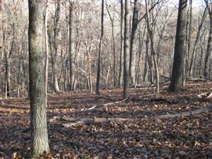 1st Independent Battery, Iowa Light Artillery Looking East Toward Middle Ravine