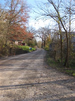 Looking South Along Wire Road at Bentonville Detour