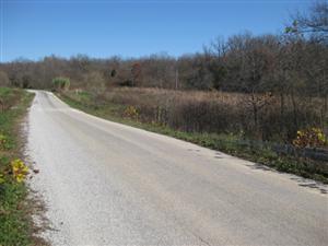 Wire Road looking east from Crane Creek