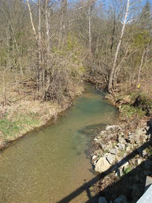 Wire Road bridge over Crane Creek