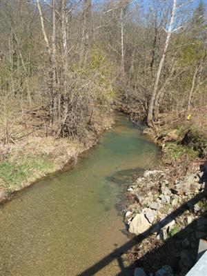 Wire Road bridge over Crane Creek