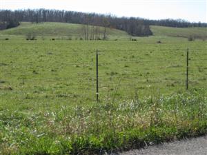 Wire Road west of Crane Creek Looking South