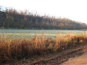 Site of Confederate Encampment at Cross Hollow