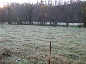 Site of Confederate Encampment at Cross Hollow