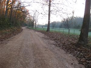Looking East Along Cross Hollow Road Just East of Wire Road