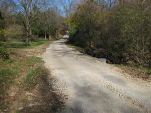 Wire Road at start of Cross Timber Hollow Looking South