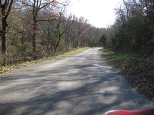 Wire Road at start of Cross Timber Hollow Looking South