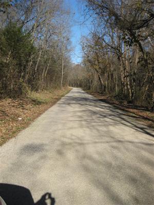 Wire Road at start of Cross Timber Hollow Looking North